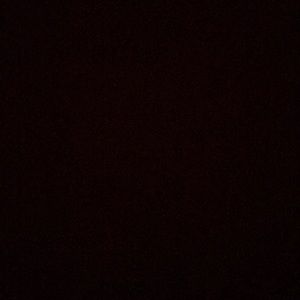 Meet your Posher, Lily